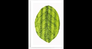 Walljar - Leaf - Muurdecoratie - Poster
