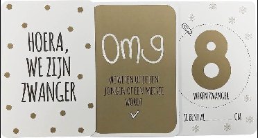 Mailbox mijlpaalkaartjes zwangerschap 24 stuks