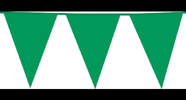 6x Giga Vlaggenlijn Groen 30x45cm 10 meter XXL - Verjaardag Feest Party Festival Poolparty Decoratie