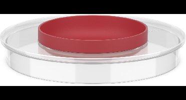 Mepal Spatdeksel beslagkom voor 3000 ml Chef it - 250 ml - Inclusief klein bakje van 250 ml - Schaal - Vaatwasmachinebestendig - Bakspullen - Coral