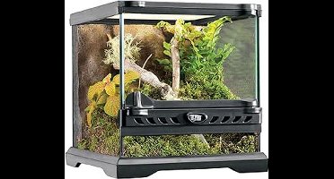 ApexArte® Terrarium - Ecosysteem - Reptielenverblijf - Transparant