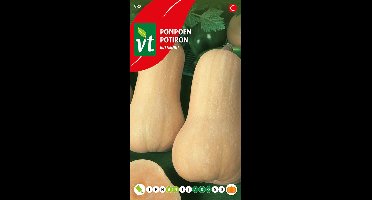 Pompoen 'Butternut' Zaden - Zoete en Romige Smaak voor Soepen en Stoofschotels