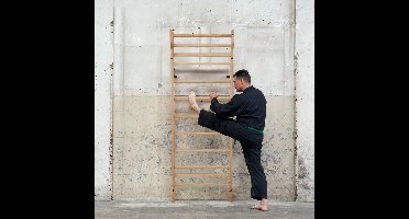 CCLIFE Klimrek - muur bars gymnastische muur sporschool klimmen frame houten klimwand sportartikelen klimwand met bar fitness kinderen volwassenen ZERRO