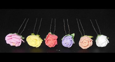 Haarpinnen roos diverse kleuren set van 6 stuks.