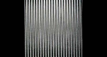 The Coolies - Master (CD)