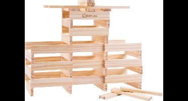 Bouwplankjes set van 200 stuks