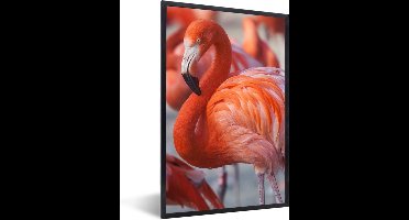 PosterMonkey - Poster - Flamingo - Vogel - Dieren - Roze - Fotolijst - 60x90 cm - Poster flamingo - Posterlijst - Frame poster - Poster dieren - Woonkamer