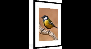 PosterMonkey - Poster - Fotolijst - Koolmees - Vogel - Takken - 80x120 cm - Poster natuur - Poster vogels - Foto in lijst - Poster frame