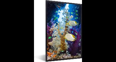 Fotolijst incl. Poster - Kleurrijk koraal in een oceaan met vissen - 80x120 cm - Posterlijst