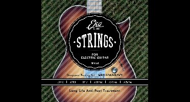 EKO EL1052HB snarenset voor elektrische gitaar 010 - 052