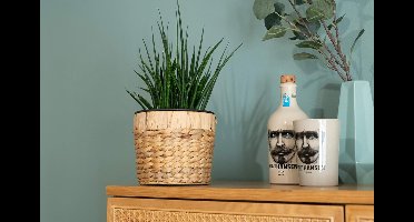Ronde bloempot gevlochten zeegras met stabiel kunststof inzetstuk om te planten - bloempot