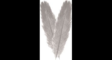 Chaks Pieten struisvogelveer/sierveer - 2x - licht grijs - 55-60 cm - decoratie/hobbymateriaal