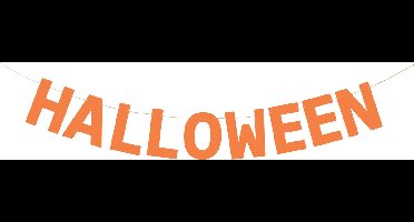 PartyDeco Halloween feestslinger/spandoek - 2,5 meter - oranje - van papier