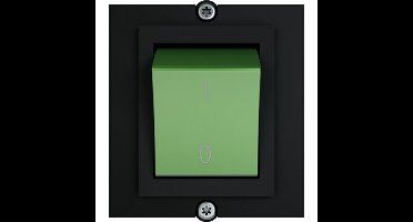 BACHMANN frame 1x schakelaar 2-polig groen , Stroom 1,0m AEH