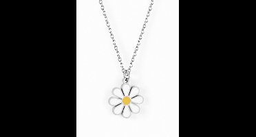 Luxe ketting - verguld - Stijlvolle ketting - Zilverkleurig - Roestvrijstalen -Cadeau Voor Vrouwen- cadeau -Valentijn - Liefde - Verrassing