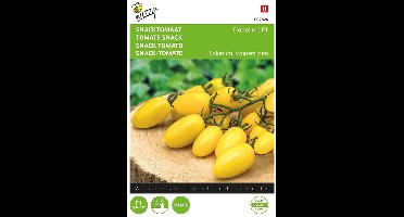 Buzzy Snacktomaat Dattolime F1