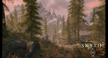 The Elder Scrolls V Skyrim - PS4 VR
