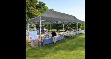 Partytent – Tuinpaviljoen – Evenemententent – Overkapping – 3x6 Meter – Staalframe – Waterdicht Met Zijwanden - Grijs