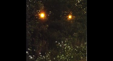 Like Rats - Like Rats (7" Single)