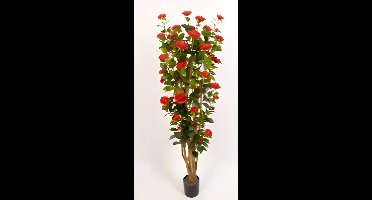 Oosterik home - Camelia 150 cm kunstplant Oosterik Home