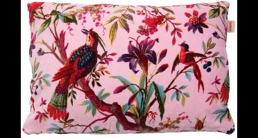 Cushion Paradise Blush 60x40