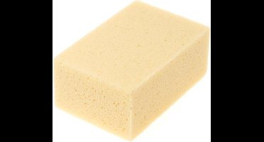 Metselmeisje Tegel hydrospons 165 x 110 x 70mm