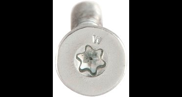 Wurth - WÜPOFAST II staal verzinkt DD freesholtes TX - WÜTOX verzonken kop deeldraad TX Houtschroef - x 250 st - Interne aandrijving TX20