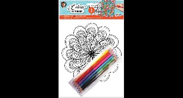 Kleuren op nummer: mandala