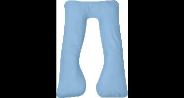 vidaXL - Zwangerschapskussen - 90x145 - cm - lichtblauw