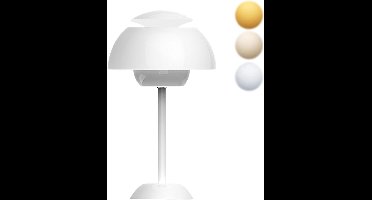 Paddenstoel Lamp - Paddestoel Lamp - Mushroom Lamp