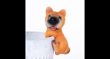 Decoratieve plantenhanger, hondenhangertje