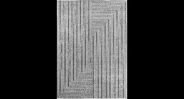 Scandinavisch Vloerkleed | Tapijt | Nova | Labyrint | Zilver | 240x340 cm