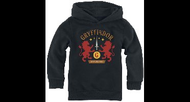 Harry Potter Gryffindor Jongens & meisjes Trui met capuchon - zwart - 98