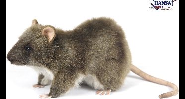 Hansa pluche rat - knuffel rat - 19 cm - levensechte knuffeldier - realistisch