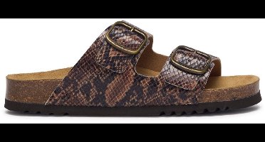 Scholl Sandalen Josephine 2 Riemen Synthetische python Vrouwen - Bruin