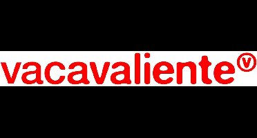 Vacavaliente - Amigos Boekenlegger - Gerecycled Leer - Grijs