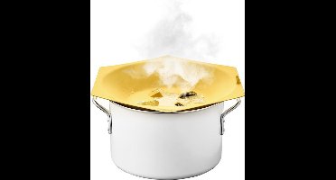 Escentiall. Pruttulhulp - Overkookdeksel Stoompan - Okergeel - Deksel - Koken - Anti overkoken