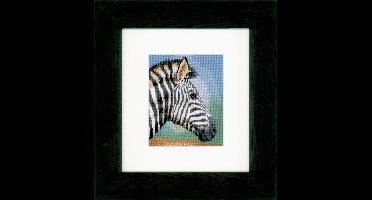 Telpakket kit Zebra  - Vervaco - PN-0150310