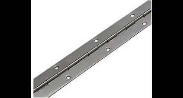 Pianoscharnier RVS 50 cm