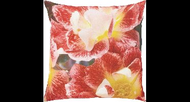 Dutch Decor Kussenhoes Orchid 45x45 cm multi