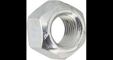 M10 Borgmoer - Geheel metaal - Metrisch- 10 stuks