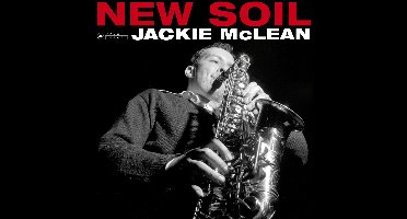 New Soil