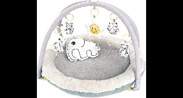 Babygym, Baby cadeau - jongen & meisje, Dierenvriendjes Speelmat, Interactief Speelgoed – Multikleuren