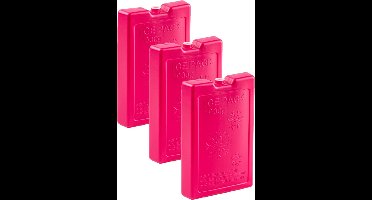 Plasticforte Koelelementen van 1000 gram - 6x stuks - roze - 22 x 14.5 x 3.5 cm - voor koeltas en koelbox