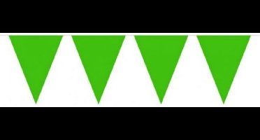 Vlaggenlijn Groen vlaggelijn 10 vlaggen ca 10 meter lang 29 cm hoog en 20 cm lang - Groen vlaggelijn