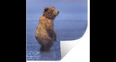 Muurstickers - Sticker Folie - Beer - Strand - Zee - 30x30 cm - Plakfolie - Muurstickers Kinderkamer - Zelfklevend Behang - Zelfklevend behangpapier - Stickerfolie