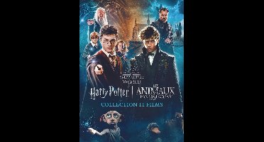 Harry Potter - 1 - 7.2 Collection + Fantastic Beasts 1 - 3 (DVD)