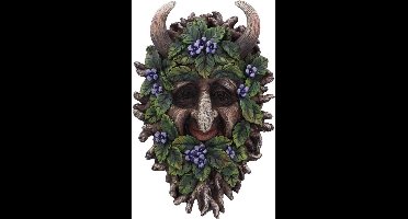 Nemesis Now Muurdecoratie Alder 20.2cm Multicolours