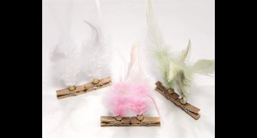 b-home-interieur.be Wasknijpers met veren - Houten clip - 6 stuks - 12x4cm