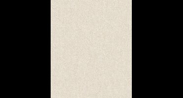 Behang - Betonlook - Lichtgrijs - Gepolijst - Modern - Industrieel - Japandi - Woonkamer - Slaapkamer